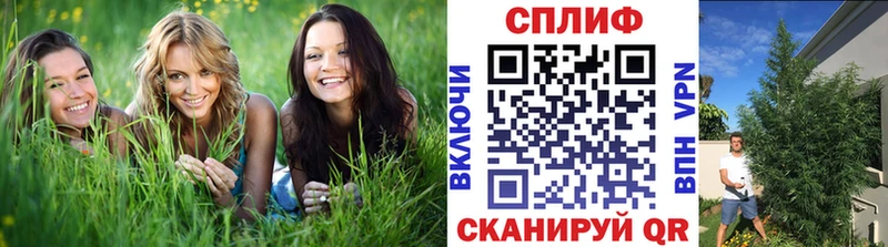 Где купить наркоту Саров Кокаин МЕФ МЕТАМФЕТАМИН Бошки Шишки A-PVP
