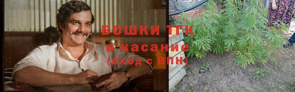 spice Алексин
