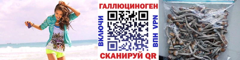 Псилоцибиновые грибы мухоморы  Саров 